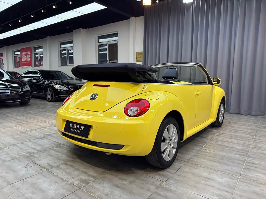 Volkswagen Beetle 2010 immagine di auto #7