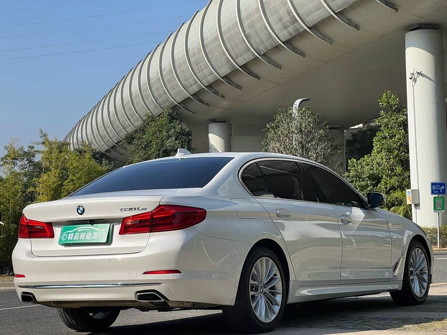 BMW 5 Series New Energy 2019 car image #7