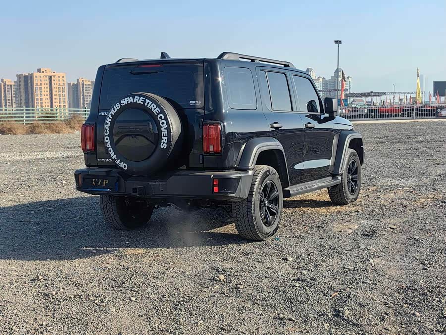 Tank 300 2024 car image #7