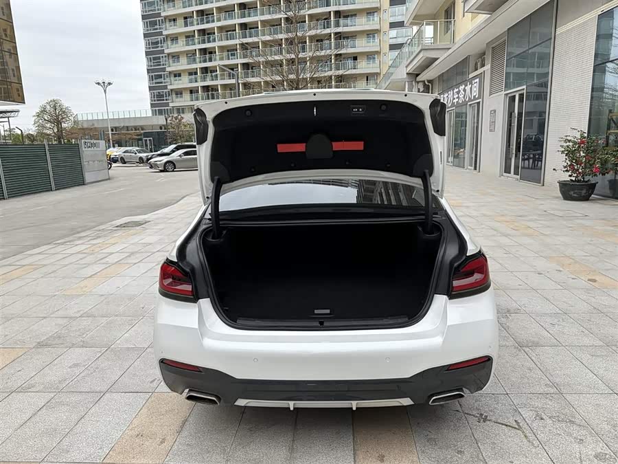 BMW 5 Series New Energy 2021 car image #7