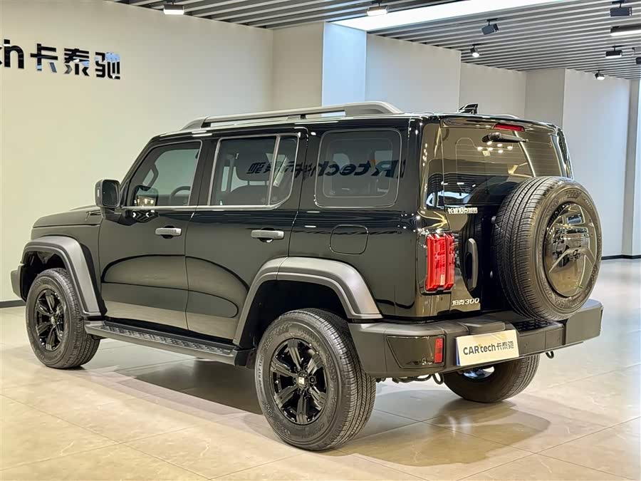 Tank 300 2024 car image #7