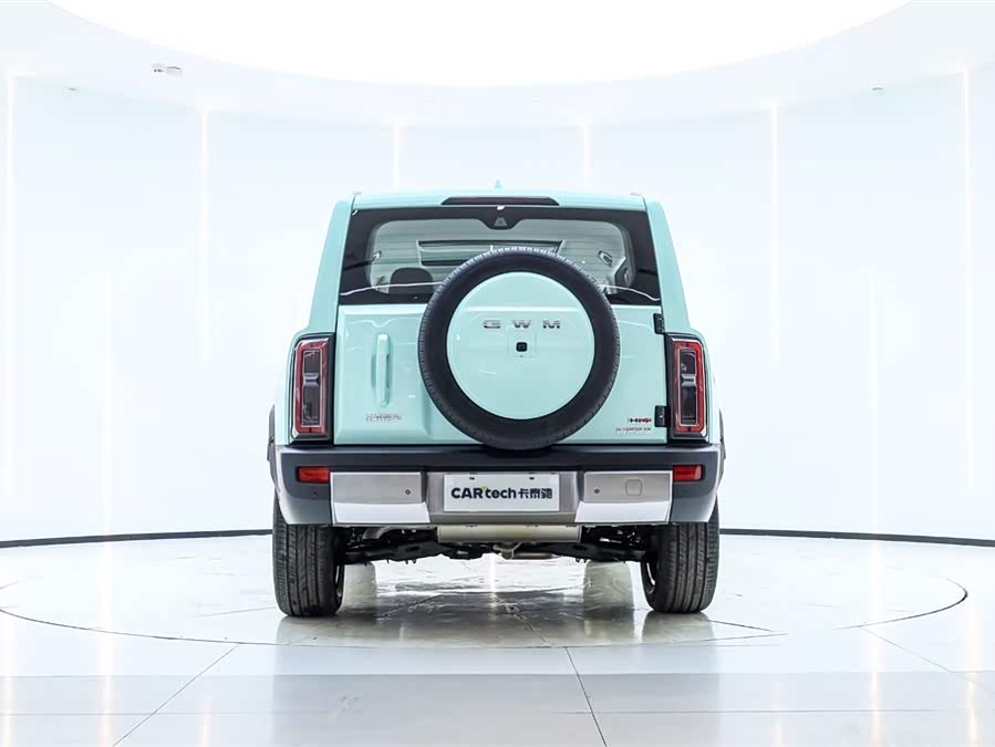 Haval Raptor New Energy 2025 car image #7