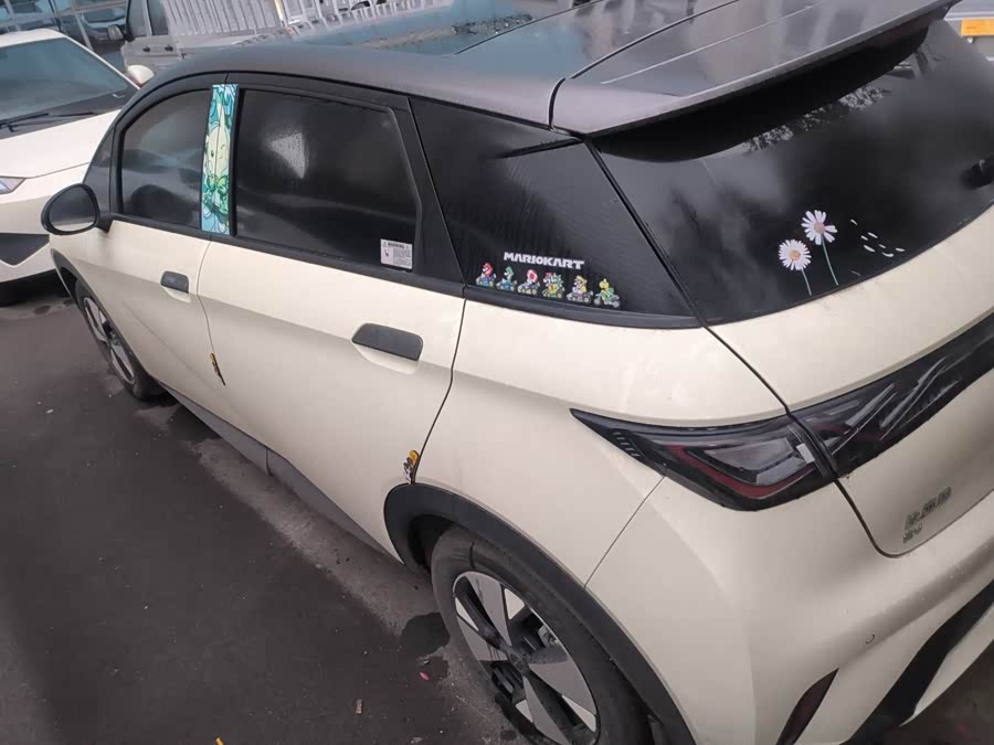 BYD Dolphin 2023 #7 BYD Dolphin 2023 immagine di auto #7