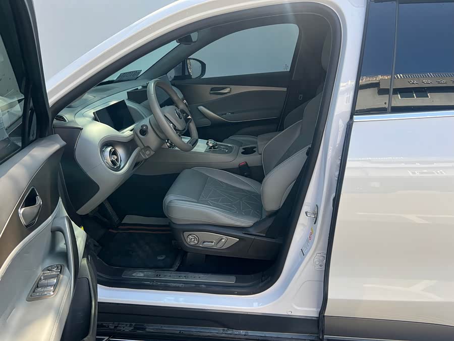 Denza N8 2023 car image #7