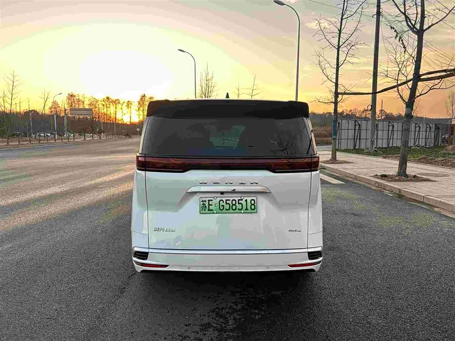 Denza D9 2023 immagine di auto #7