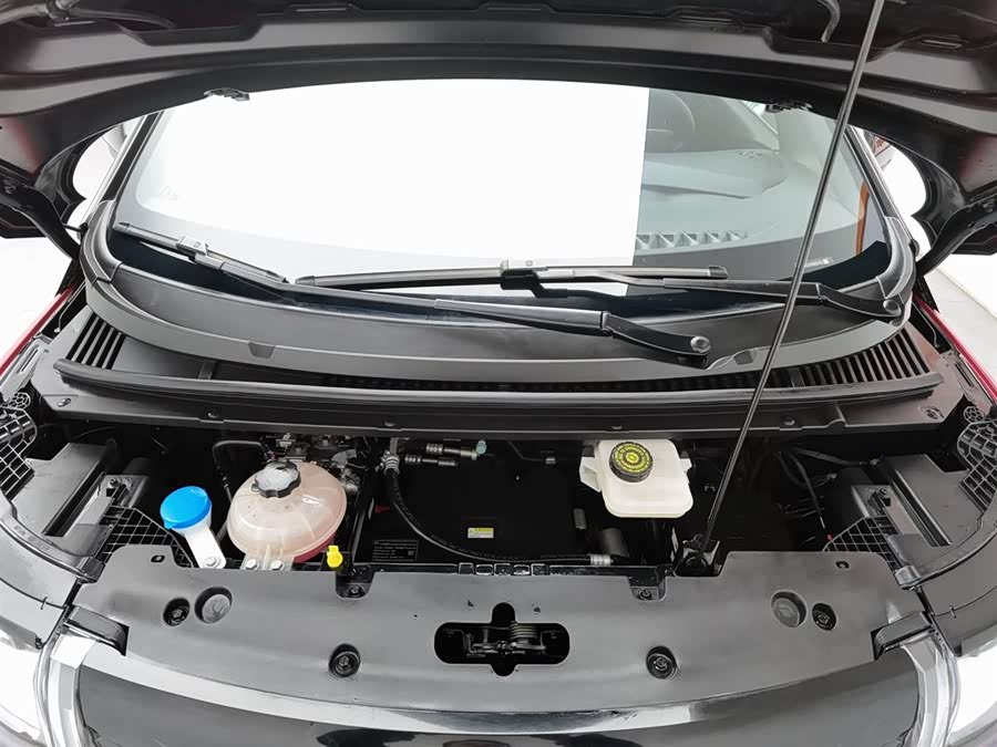 BYD Dolphin 2024 immagine di auto #7