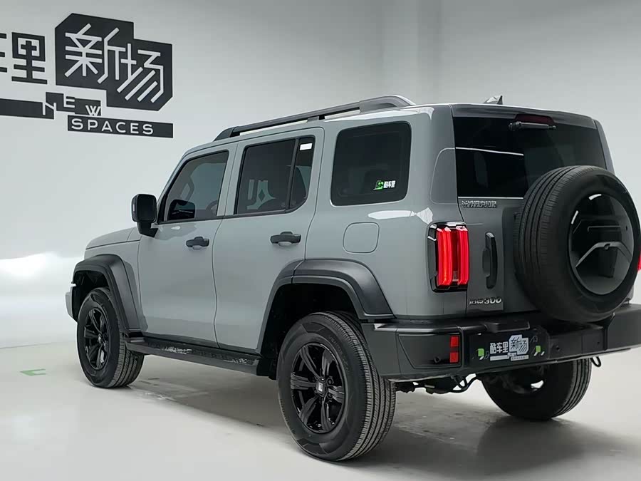 Tank 300 2025 #7 Tank 300 2025 car image #7