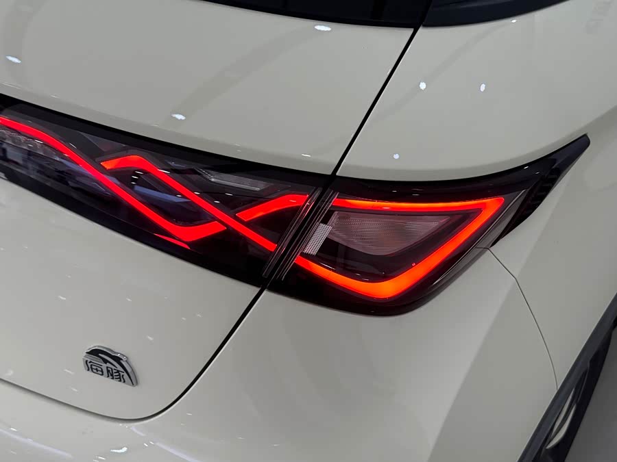 BYD Dolphin 2024 immagine di auto #7