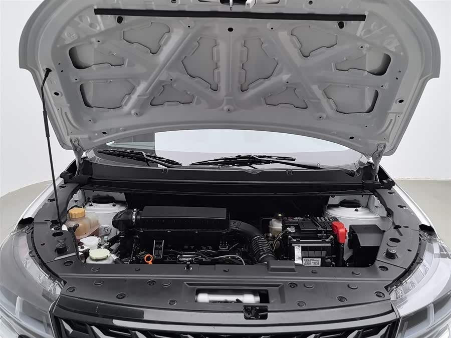 Forthing T5 2024 immagine di auto #7