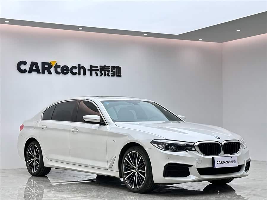 BMW 5 Series 2020 car image #7