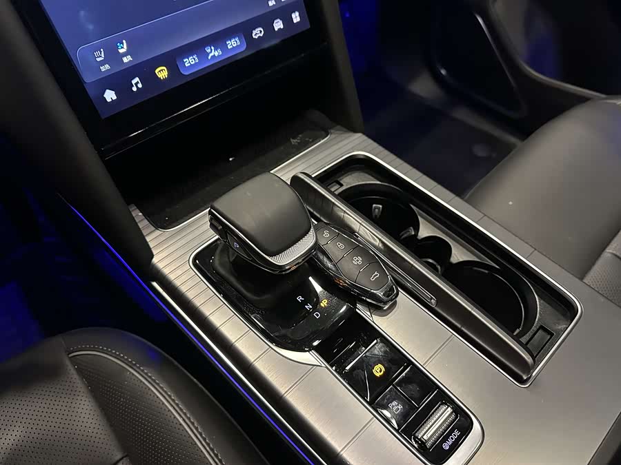 HongQi HS7 2024 car image #7