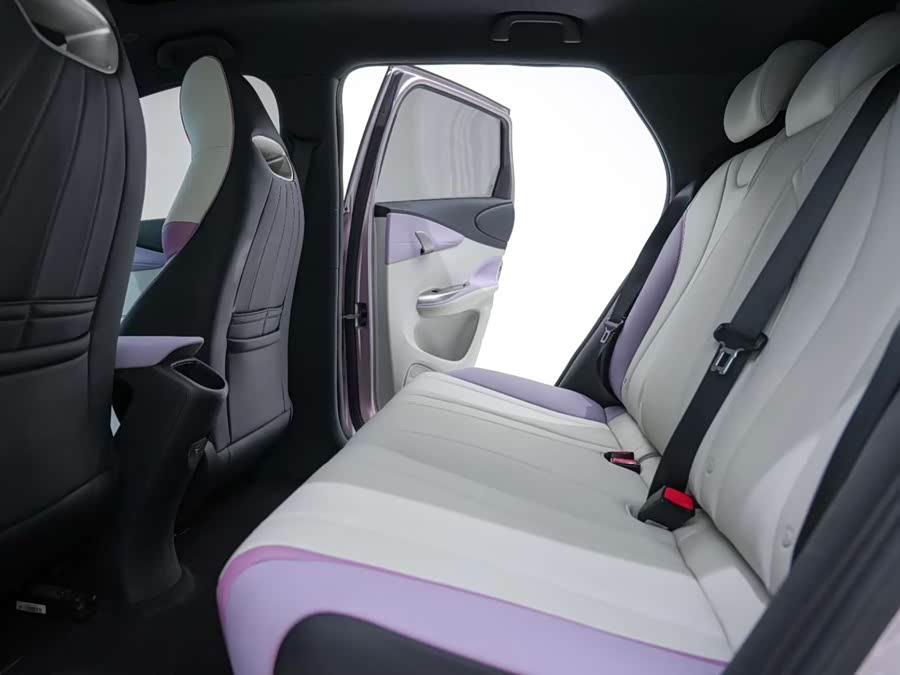 BYD Dolphin 2023 immagine di auto #7