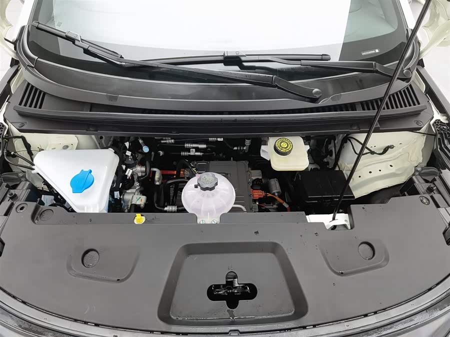 BYD Dolphin 2025 car image #7