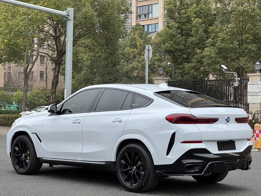 BMW X6 2020 car image #7