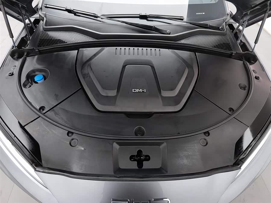 BYD Song Plus New Energy 2024 car image #7