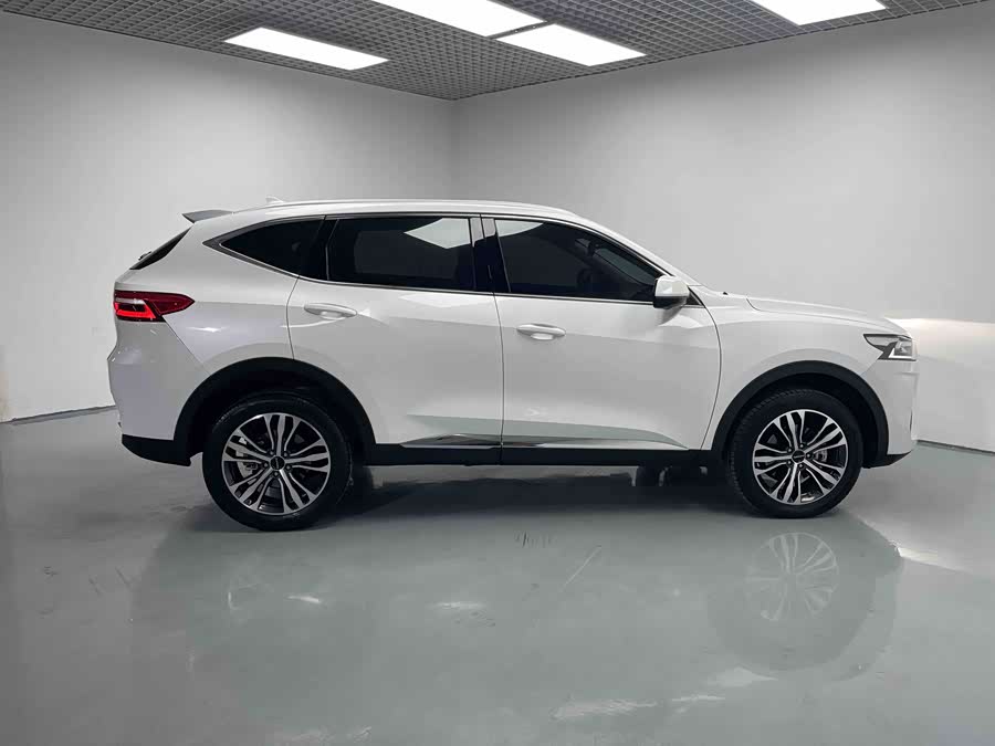Haval F7 2019 car image #7