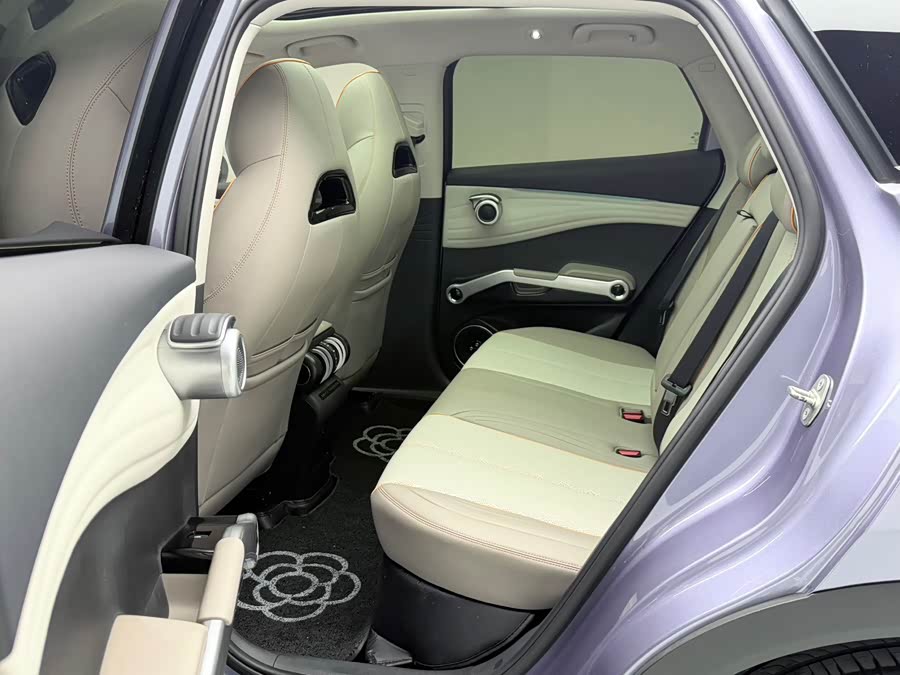 BYD Yuan Plus 2023 #7 BYD Yuan Plus 2023 immagine di auto #7