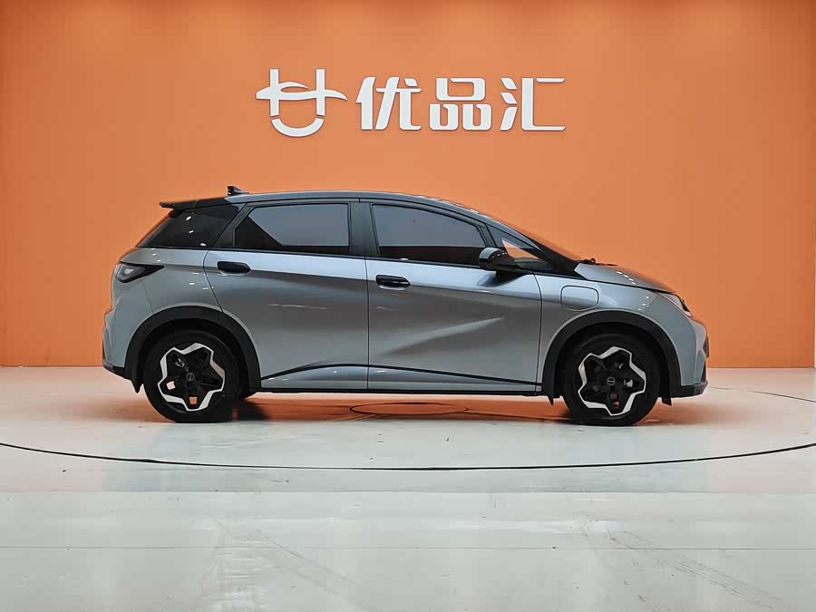 BYD Dolphin 2022 car image #7