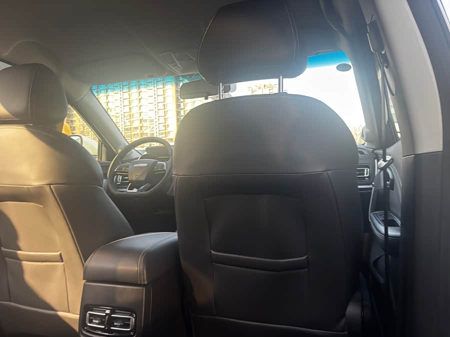 X70M 2019 car image #7