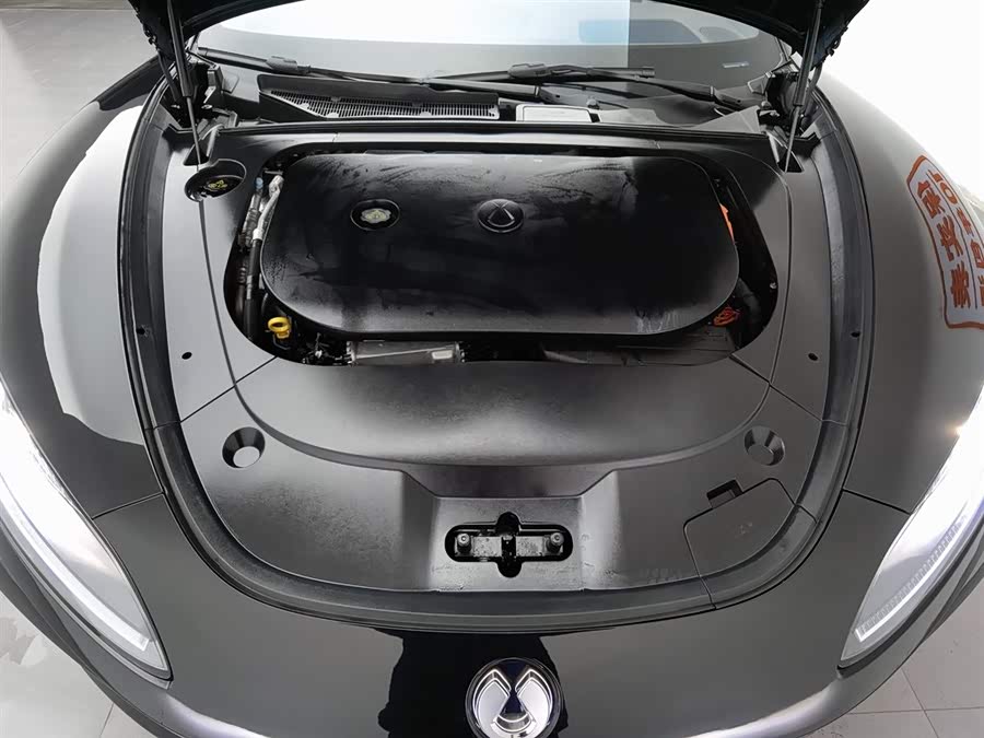 Denza Z9 2024 imagem de carro #7