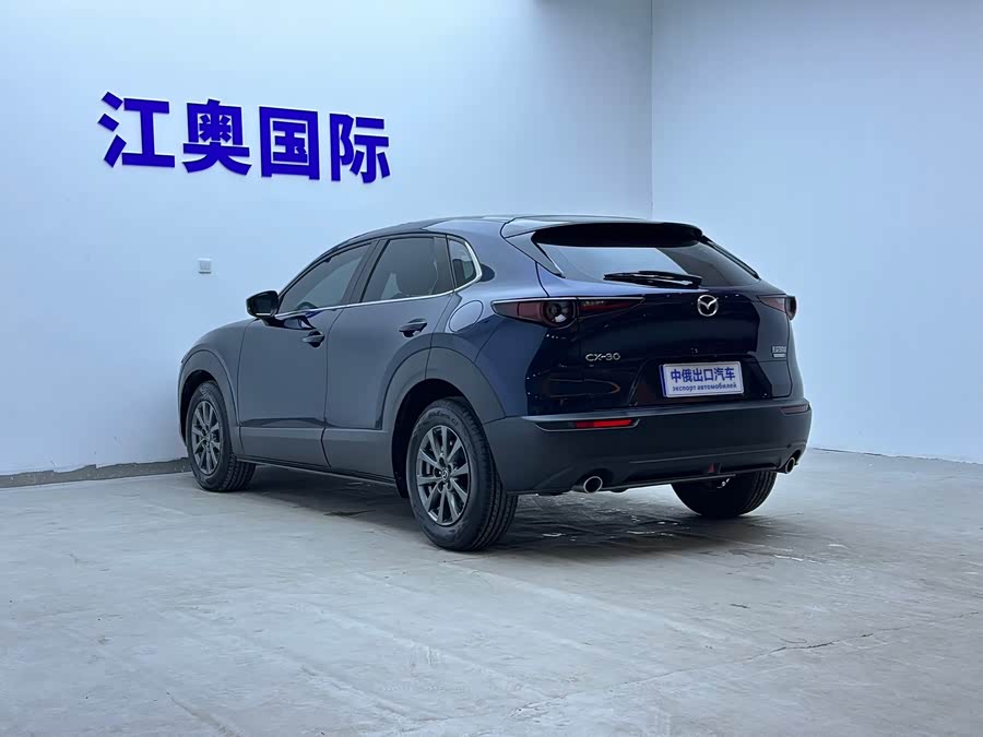 Mazda CX-30 2021 car image #7