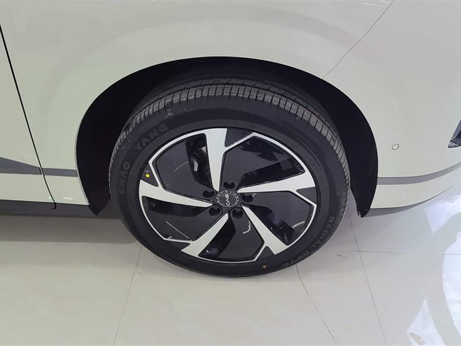 BYD Sea Lion 06 New Energy 2025 car image #7