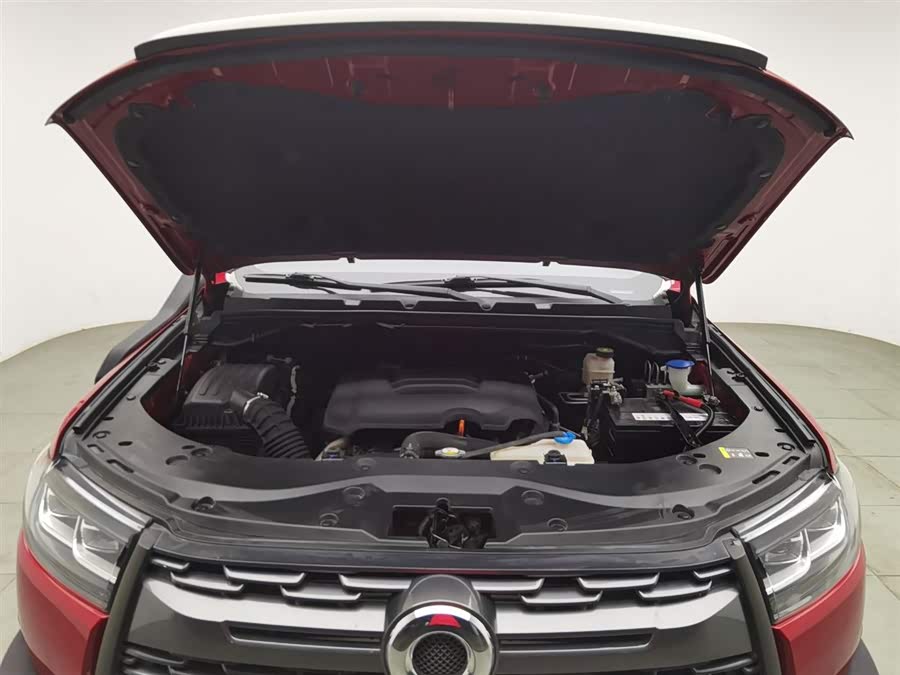 Great Wall Poer 2021 car image #7