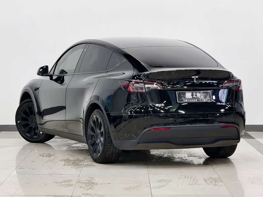 Tesla Model Y 2023 car image #7