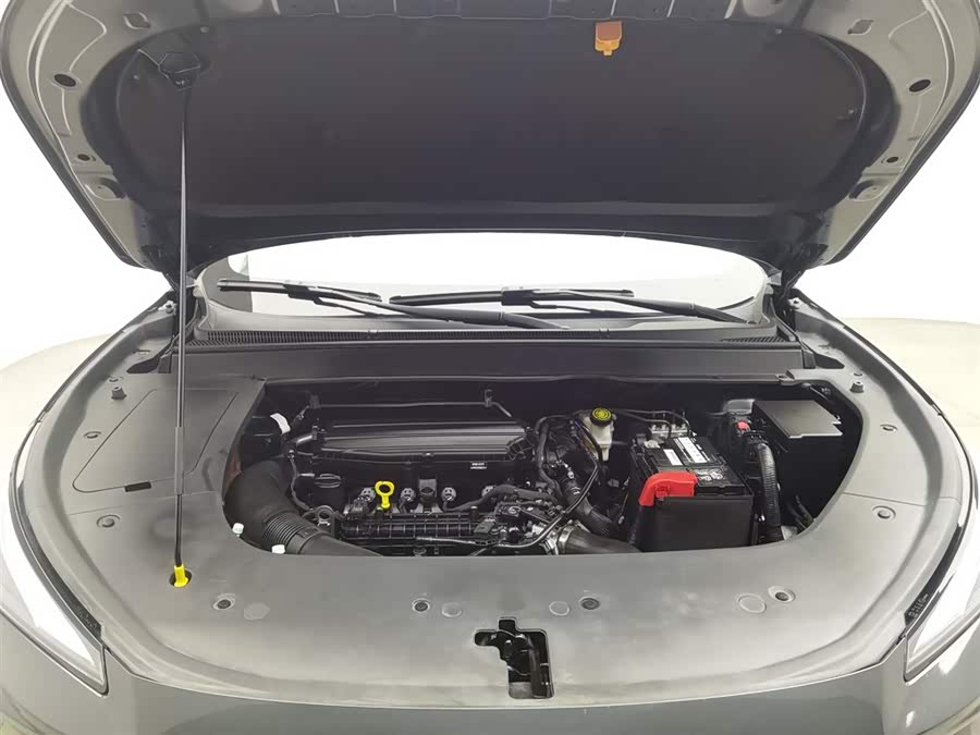 T5 EVO 2024 car image #7