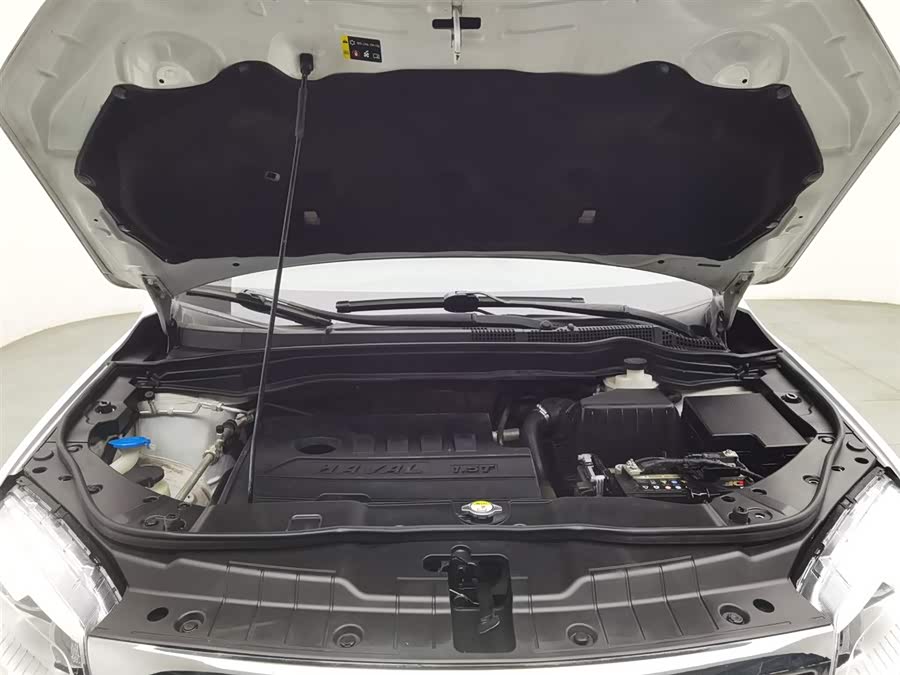 Haval H6 2020 car image #7