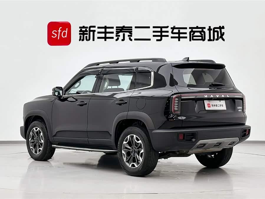 Haval X Dog / Dargo 2023 car image #7