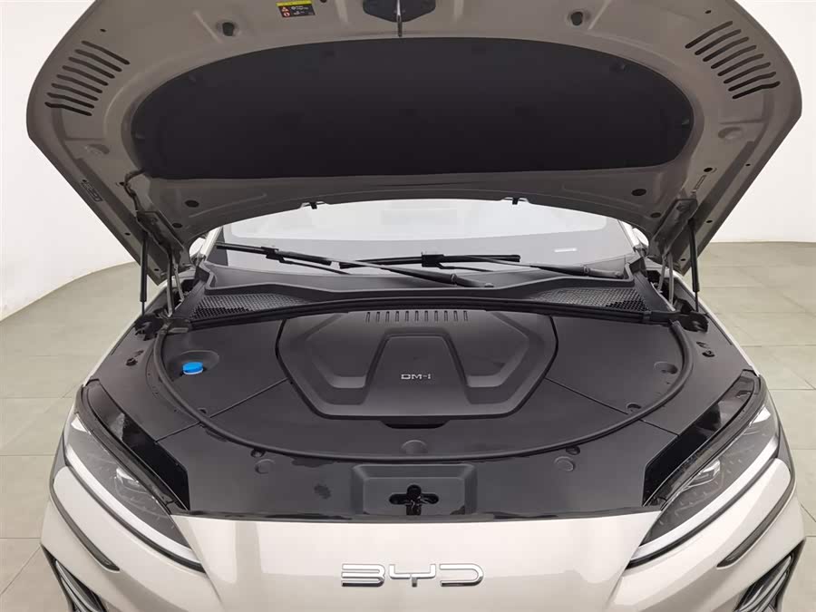 BYD Song Plus New Energy 2023 car image #7