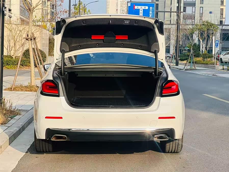 BMW 5 Series New Energy 2021 car image #7