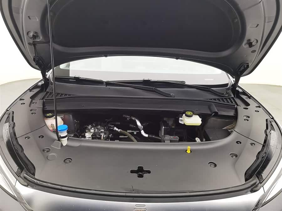 BYD Yuan Plus 2023 car image #7