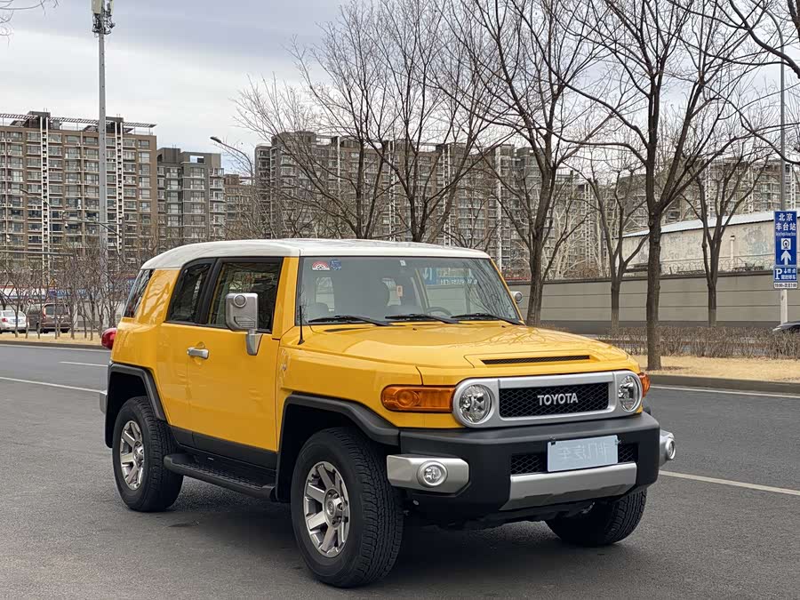 Toyota FJ Cruiser 2019 car image #7