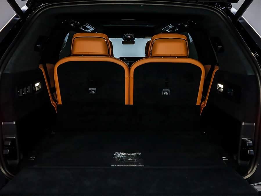 极氪 极氪9X 2026 汽车图片 #7