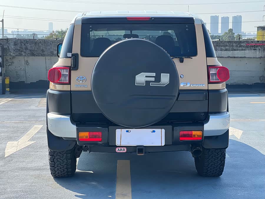 Toyota FJ Cruiser 2008 car image #7