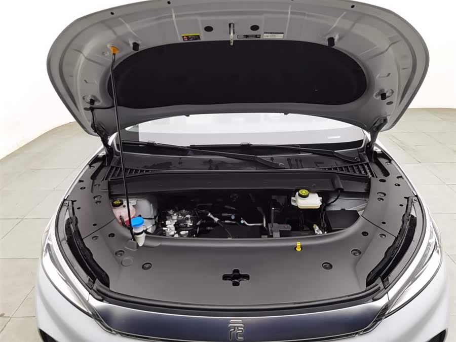 BYD Yuan Plus 2024 car image #7