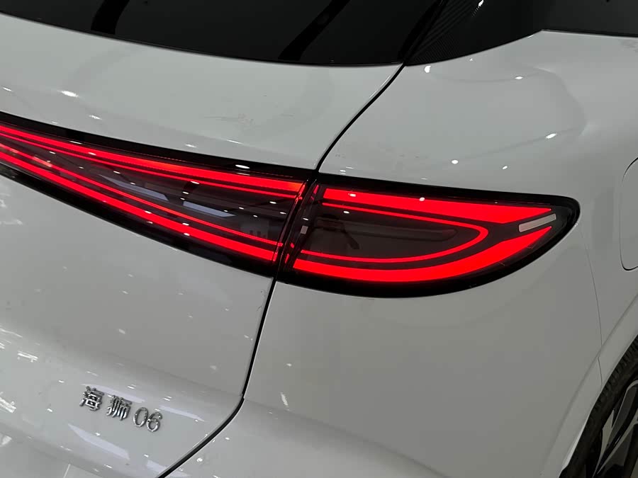 BYD Sea Lion 06 New Energy 2025 car image #7