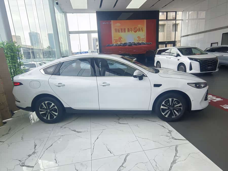 BYD Qin Plus 2025 #7 BYD Qin Plus 2025 صورة سيارة #7