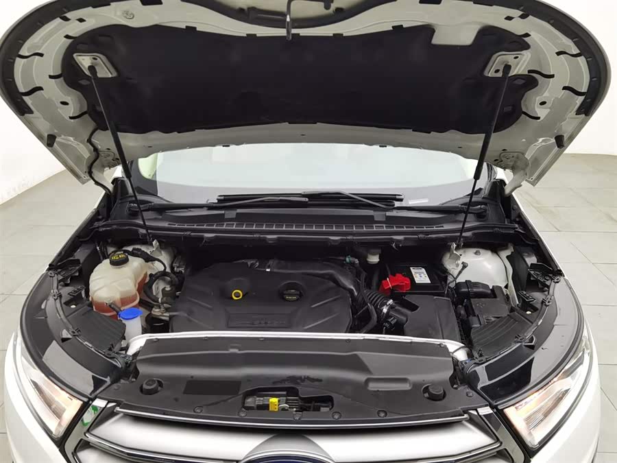 Ford Edge 2016 car image #7