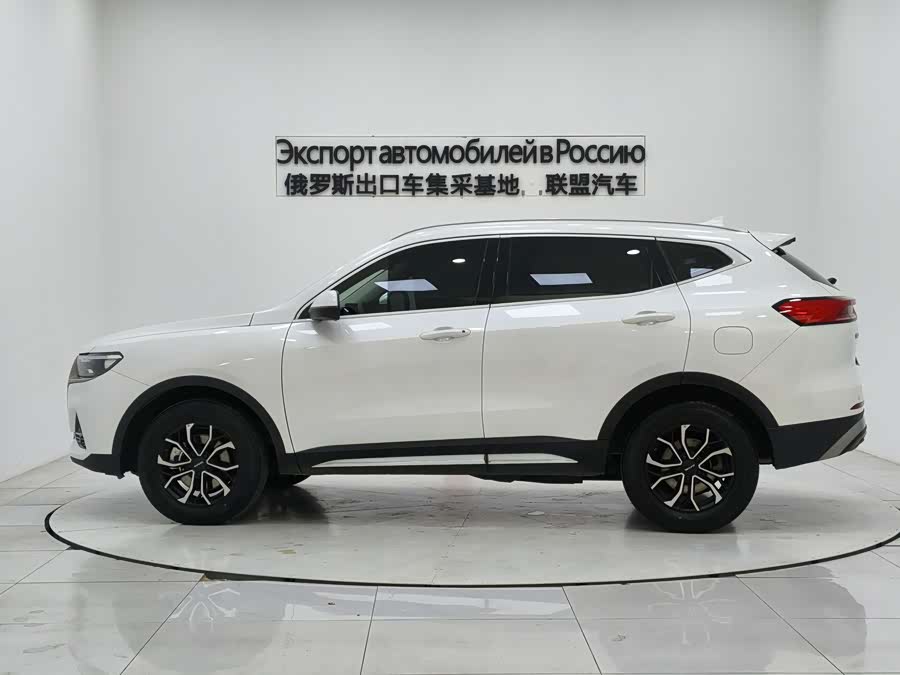 Haval H6 2020 car image #7