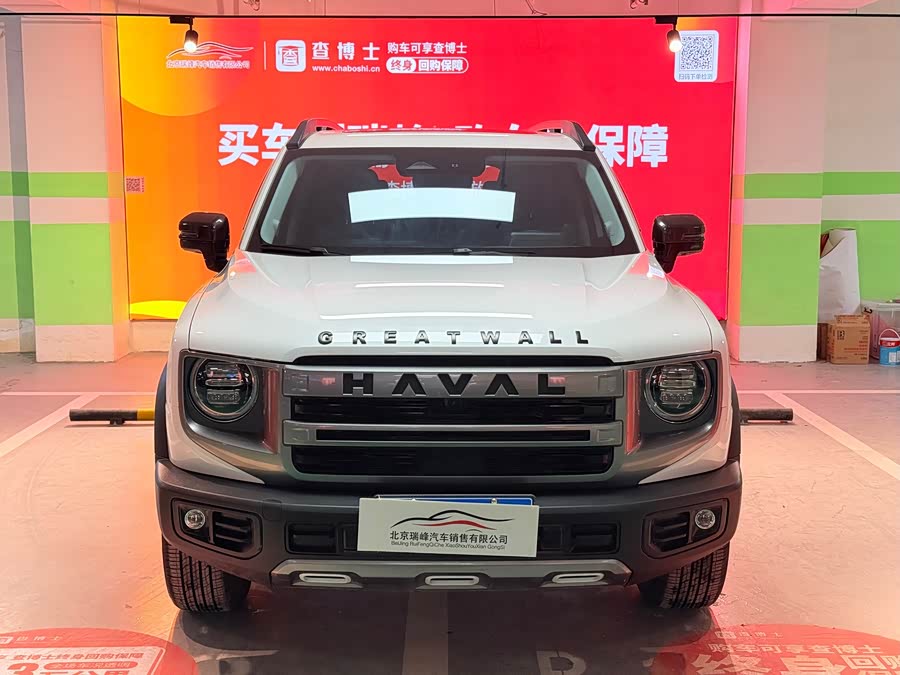 Haval X Dog / Dargo 2024 immagine di auto #7