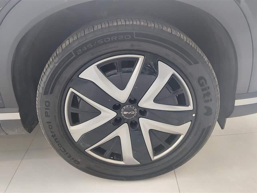 BYD Sea Lion 07 DM-i 2025 car image #7