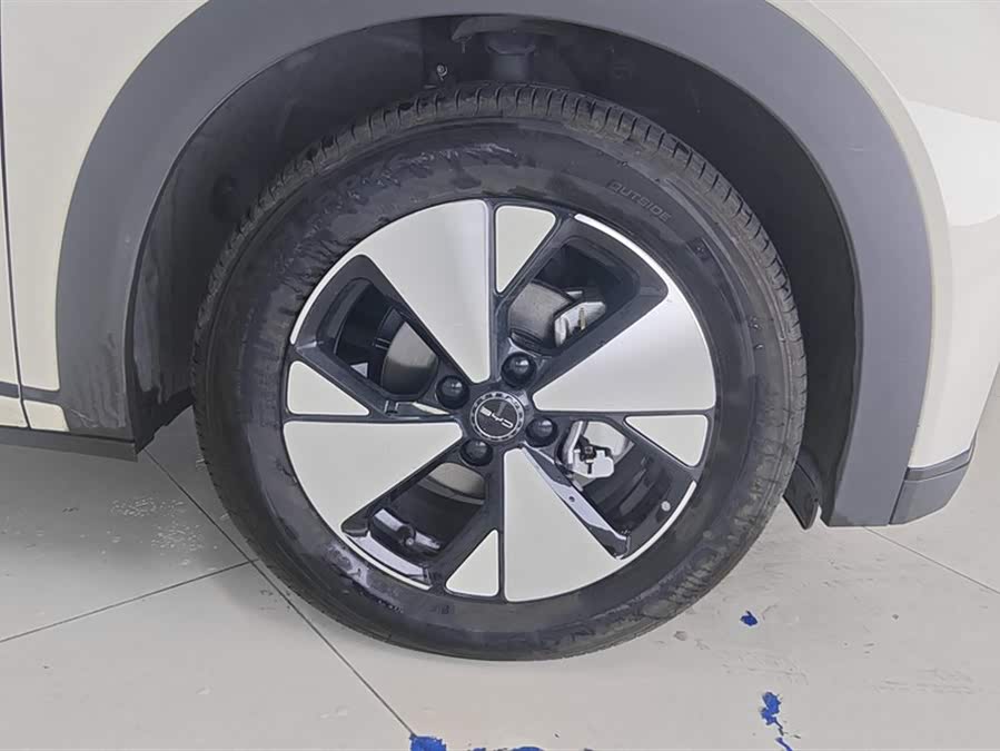 BYD Dolphin 2024 imagem de carro #7