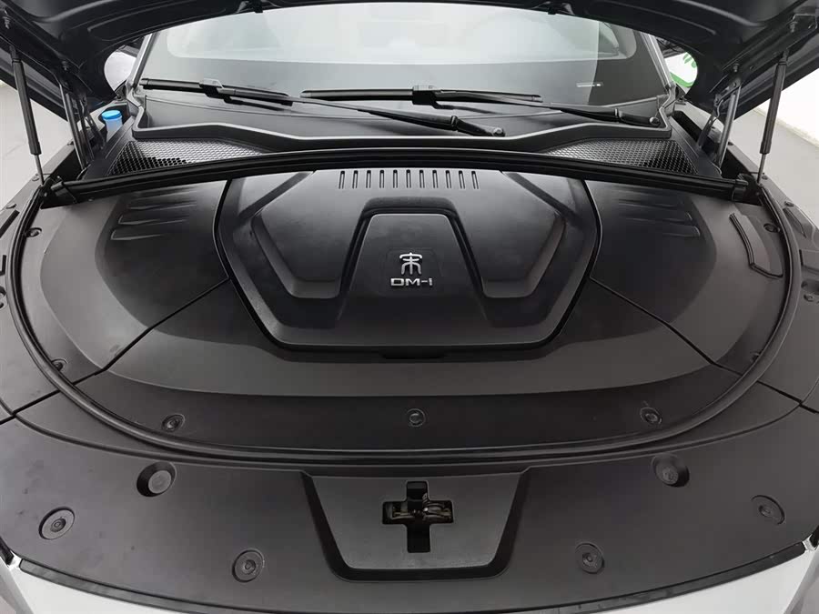 BYD Song Plus New Energy 2021 car image #7
