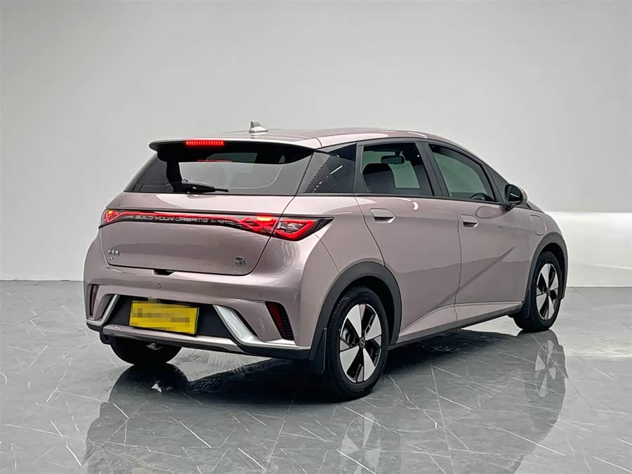 BYD Dolphin 2023 immagine di auto #7