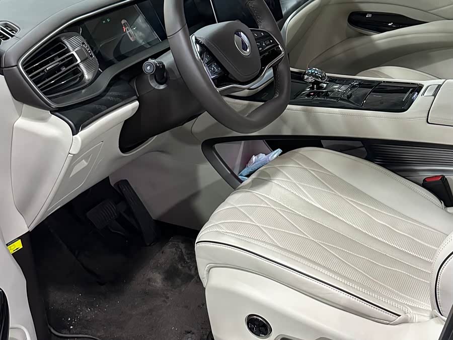 Denza D9 2024 imagen de coche #7