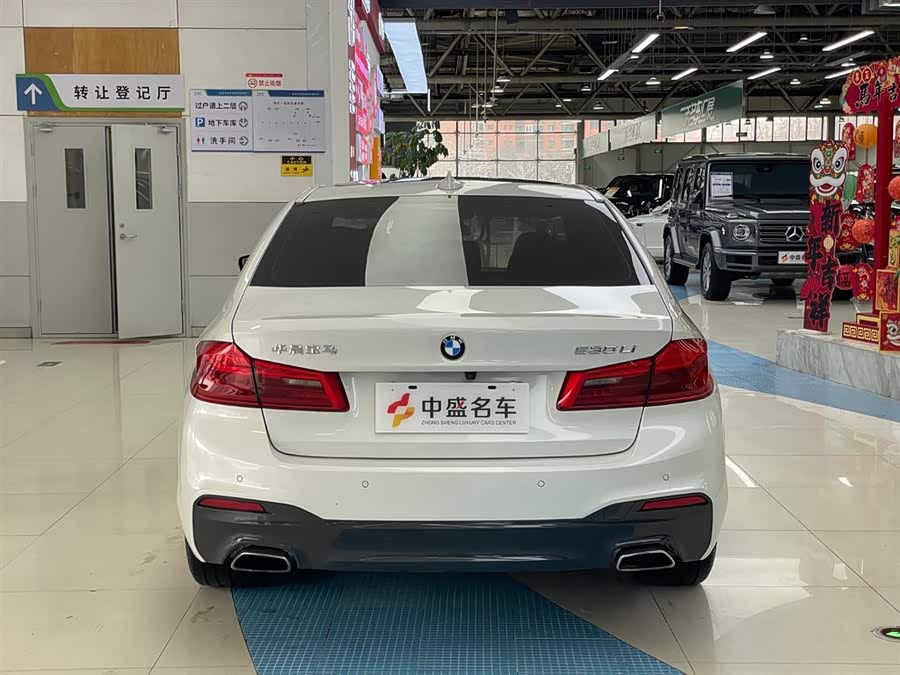 BMW 5 Series 2019 car image #7