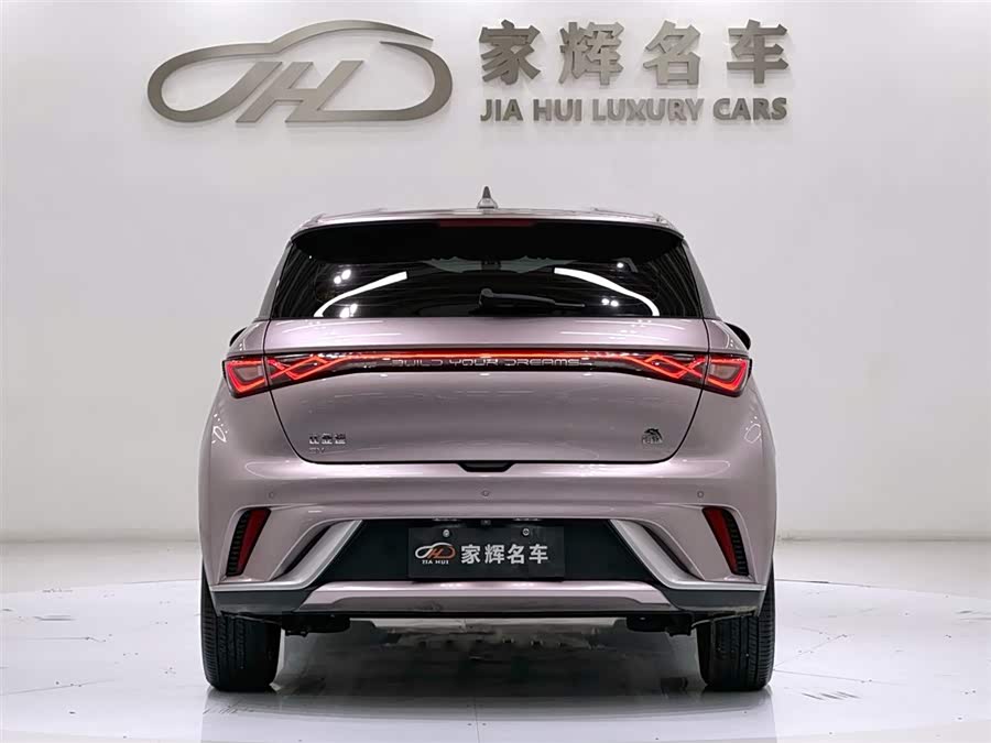 BYD Dolphin 2024 imagem de carro #7